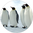 Adam profile picture